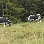 Le Entre Nature Et Animations Apartmán La Bresse