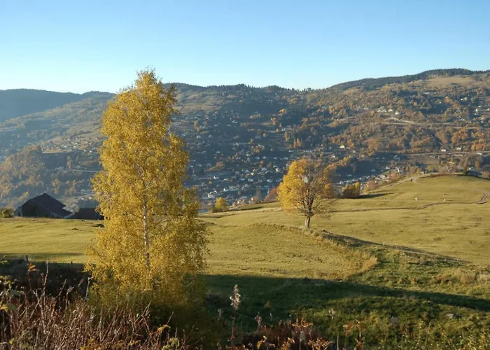 Le Entre Nature Et Animations La Bresse