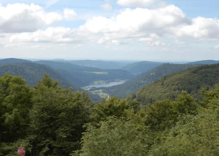 Le Entre Nature Et Animations * La Bresse